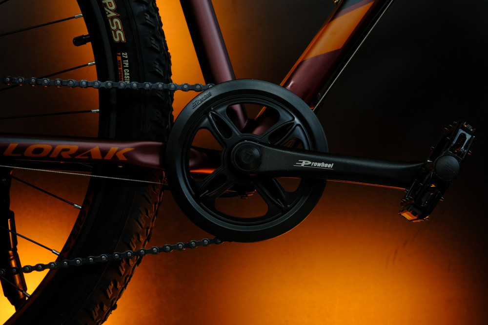 LORAK Safe PLUS 29 Матовый Коричневый